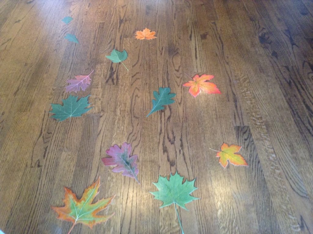 Blown in leaves trompe l'oeil in a home entryway