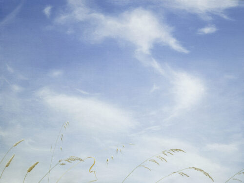 Big Sky, Summer Glee Original Oil Painting | Emmeline Craig