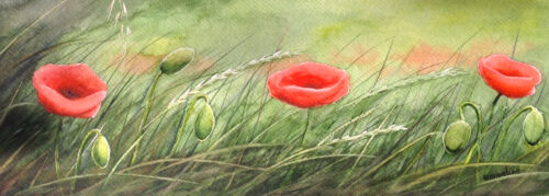 3 Poppies | Emmeline Craig