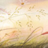 Grasses and Light #4