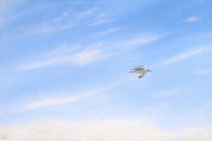 Big Sky with Seagull #1 Giclee Print | Emmeline Craig
