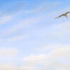 Big Sky with Seagull #2 Giclee Pint | Emmeline Craig