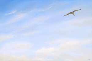 Big Sky with Seagull #2 Giclee Pint | Emmeline Craig