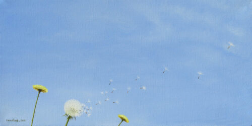 Dandelion Giclee print by Emmeline Craig