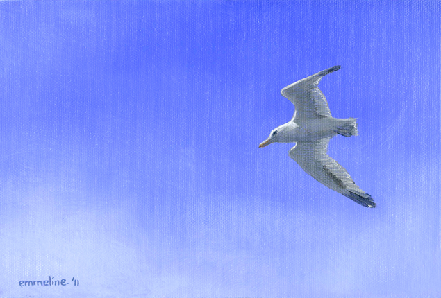 Flying seagull by Emmeline Craig