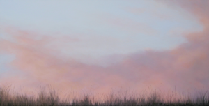 Grasses and Rosy Sky | Emmeline Craig