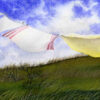 Laundry in the Wind Giclee Print | Emmeline Craig