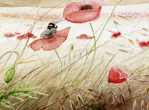 Poppy field giclee print detail by Emmeline craig