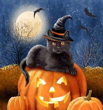 halloween scene with cat and pumpkin