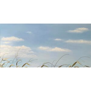 Vestiges of summer