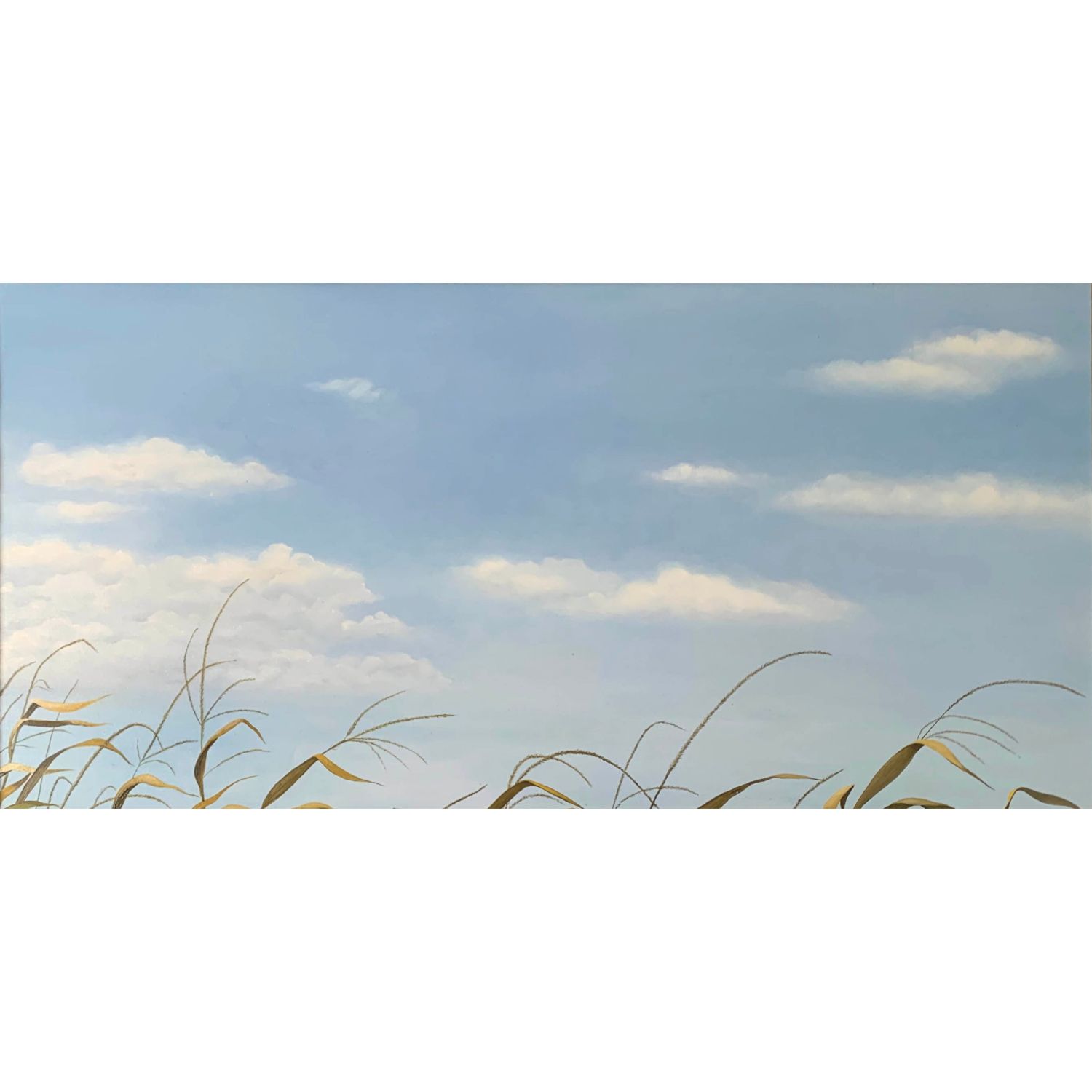 Vestiges of summer
