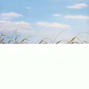 vestiges of summer